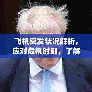 飞机突发状况解析，应对危机时刻，了解这些关键信息！