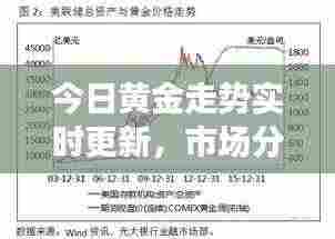 今日黄金走势实时更新，市场分析与展望，最新报价揭秘