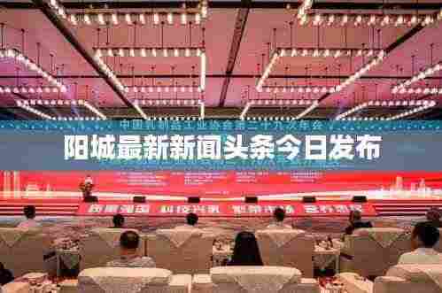 阳城最新新闻头条今日发布
