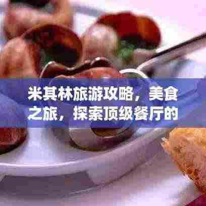 米其林旅游攻略，美食之旅，探索顶级餐厅的魅力之旅