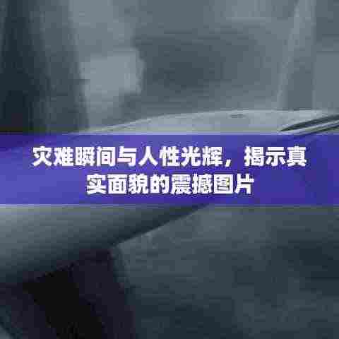 灾难瞬间与人性光辉，揭示真实面貌的震撼图片