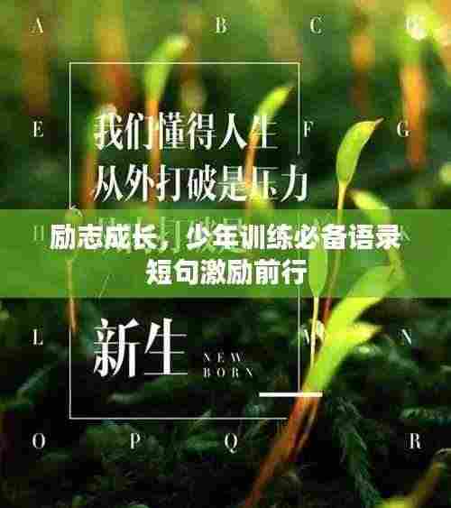 励志成长，少年训练必备语录短句激励前行