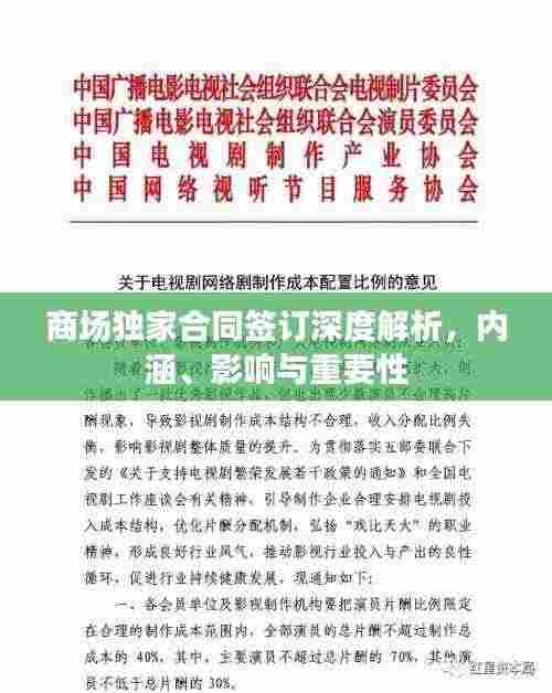 商场独家合同签订深度解析，内涵、影响与重要性