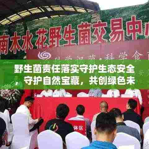 野生菌责任落实守护生态安全，守护自然宝藏，共创绿色未来
