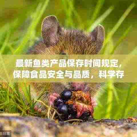 最新鱼类产品保存时间规定，保障食品安全与品质，科学存储，健康享用