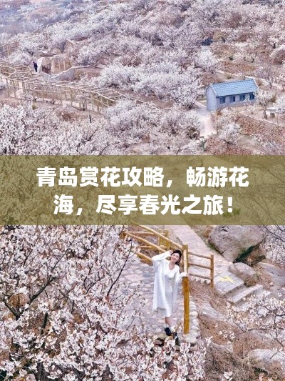 青岛赏花攻略，畅游花海，尽享春光之旅！
