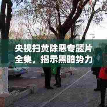 央视扫黄除恶专题片全集，揭示黑暗势力，点亮正义之光