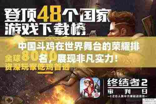 中国斗鸡在世界舞台的荣耀排名，展现非凡实力！