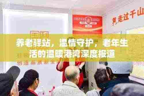 养老驿站，温情守护，老年生活的温暖港湾深度报道