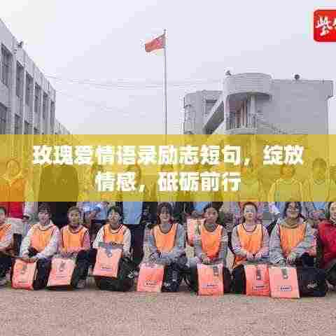 玫瑰爱情语录励志短句，绽放情感，砥砺前行