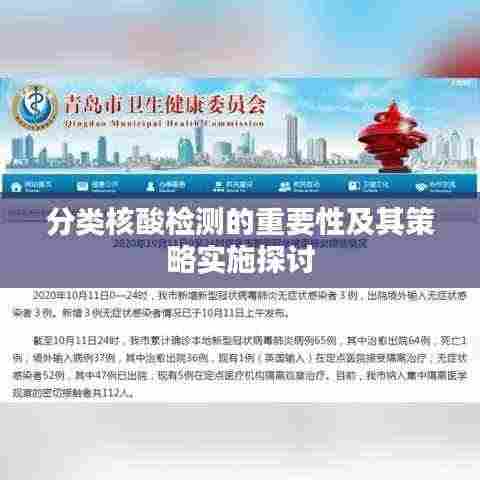 分类核酸检测的重要性及其策略实施探讨