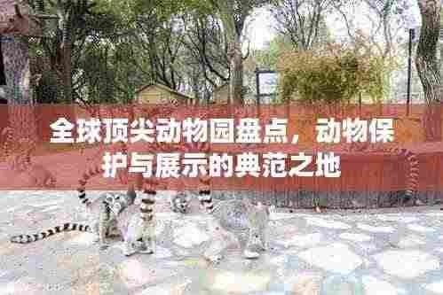 全球顶尖动物园盘点，动物保护与展示的典范之地