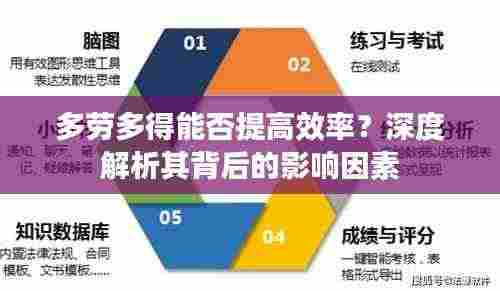多劳多得能否提高效率？深度解析其背后的影响因素