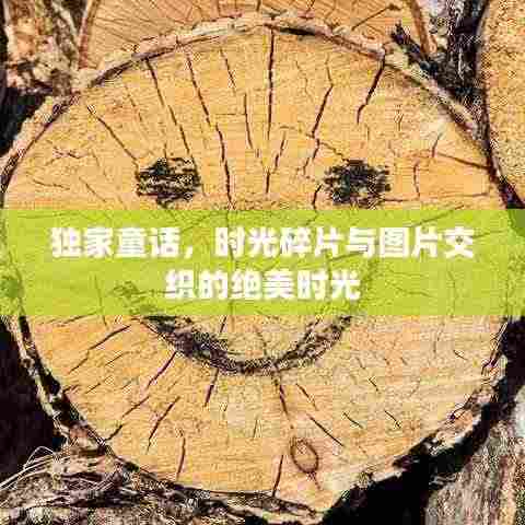 独家童话，时光碎片与图片交织的绝美时光