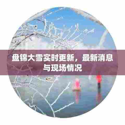 盘锦大雪实时更新，最新消息与现场情况