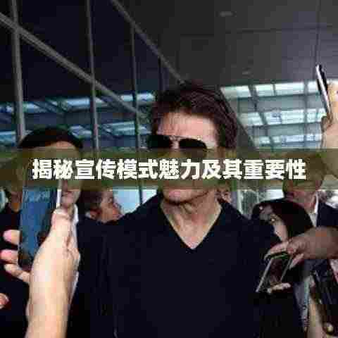 揭秘宣传模式魅力及其重要性