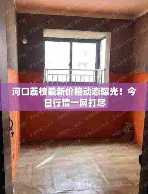 河口荔枝最新价格动态曝光！今日行情一网打尽