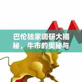 巴伦独家调研大揭秘，牛市的奥秘与真相探索