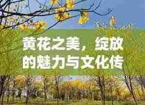 龙飞九五 第3页