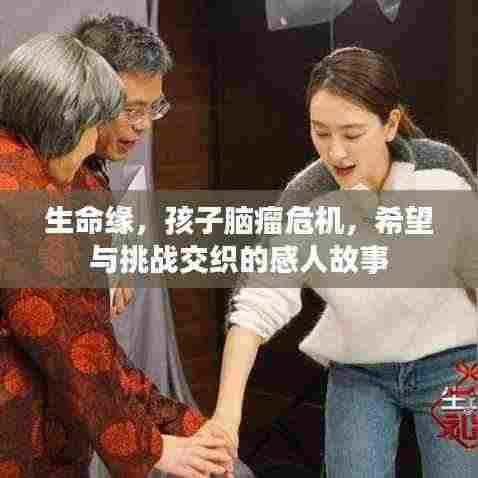 生命缘，孩子脑瘤危机，希望与挑战交织的感人故事