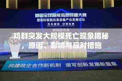 鸡群突发大规模死亡现象揭秘，原因、影响与应对措施