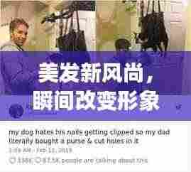 物稀为贵 第3页