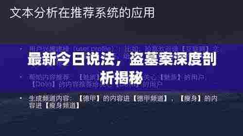 最新今日说法，盗墓案深度剖析揭秘