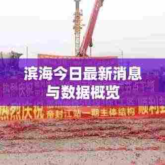 滨海今日最新消息与数据概览