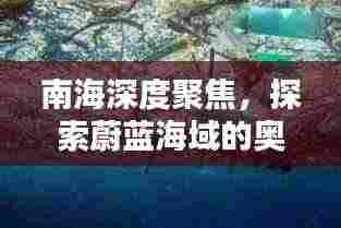 南海深度聚焦，探索蔚蓝海域的奥秘