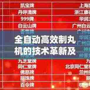 全自动高效制丸机的技术革新及其在制药工业的应用实践