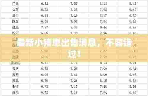 最新小猪崽出售消息，不容错过！