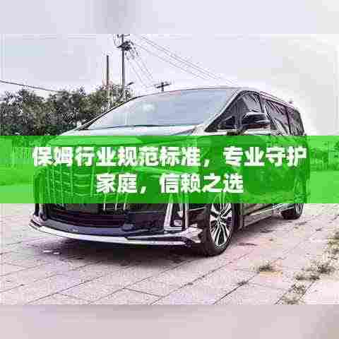 保姆行业规范标准，专业守护家庭，信赖之选