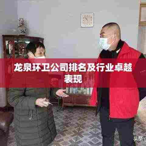 龙泉环卫公司排名及行业卓越表现