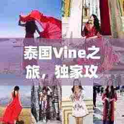 泰国Vine之旅，独家攻略，带你玩转异域风情