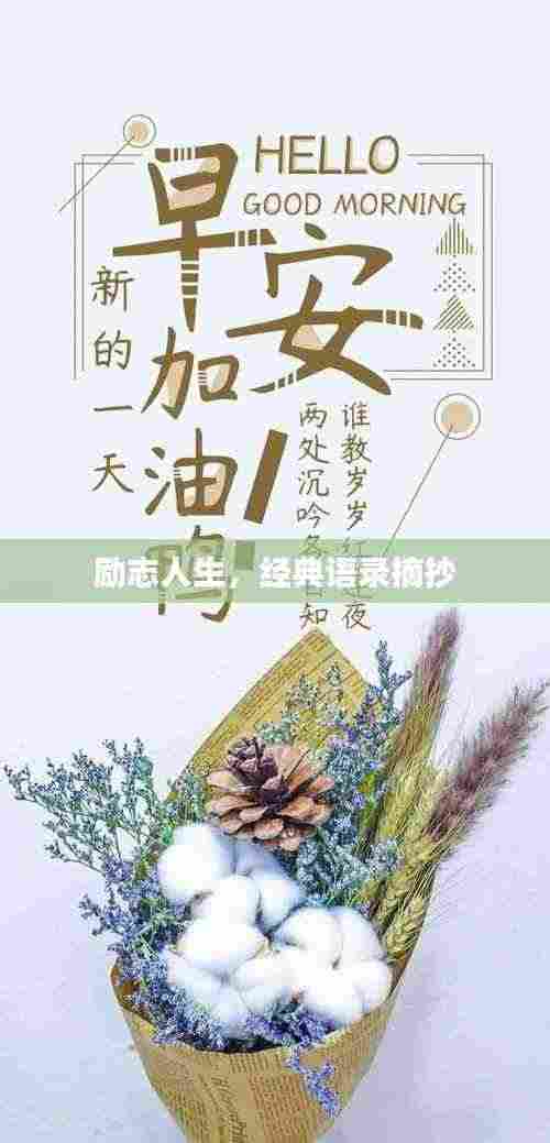 励志人生，经典语录摘抄