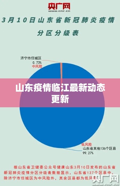 山东疫情临江最新动态更新