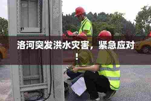 省吃细用 第4页