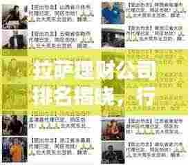 拉萨理财公司排名揭晓，行业影响力大揭秘