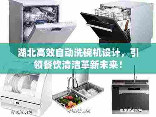 湖北高效自动洗碗机设计，引领餐饮清洁革新未来！