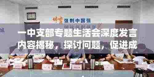 一中支部专题生活会深度发言内容揭秘，探讨问题，促进成长