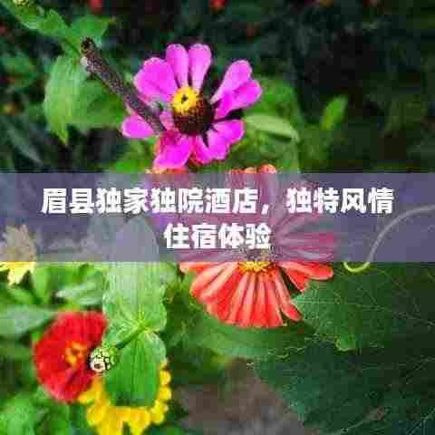 眉县独家独院酒店，独特风情住宿体验