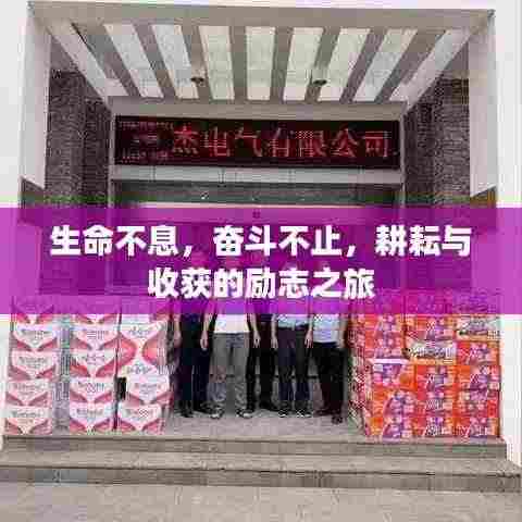 生命不息，奋斗不止，耕耘与收获的励志之旅