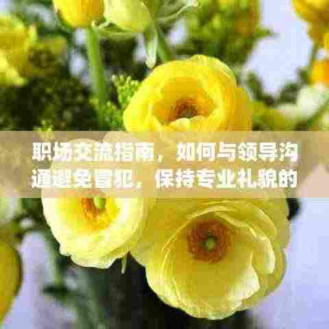 职场交流指南，如何与领导沟通避免冒犯，保持专业礼貌的表达方式