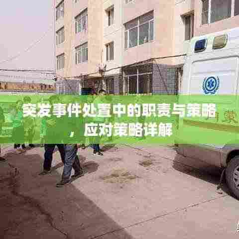 突发事件处置中的职责与策略，应对策略详解