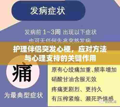 护理伴侣突发心梗,应对方法与心理支持的关键作用