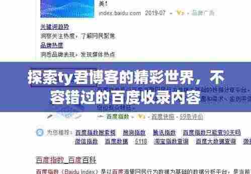 探索ty君博客的精彩世界，不容错过的百度收录内容