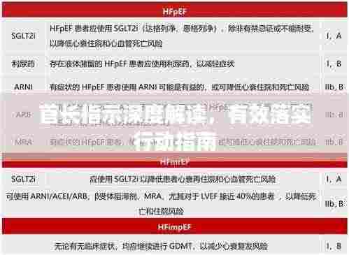 首长指示深度解读，有效落实行动指南