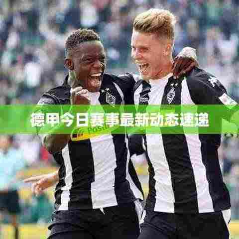 德甲今日赛事最新动态速递
