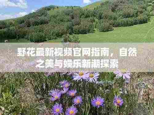 野花最新视频官网指南，自然之美与娱乐新潮探索