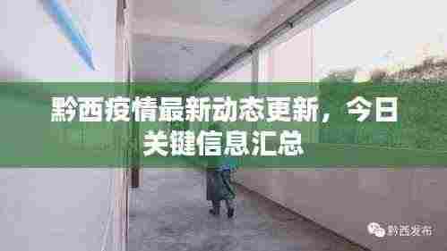 黔西疫情最新动态更新，今日关键信息汇总